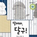 달구씨
