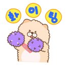 퍼피스프링 부천점 이미지