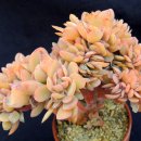 상학농장 이미지