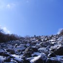 황제의 술- 자연산 석이버섯 담금용(완전건조) 판매! -병,택배비 포함- 이미지