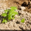 향숙농장 이미지