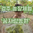 경주농장 제2농장 | [공지] [경주 농장 체험] 경주 아이랑 체험 가능 한 꿈자람 농원 체험 후기