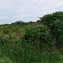 미듬공인중개사사무소 이미지