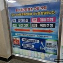 꼭지초장 이미지
