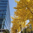 세림피부과의원 이미지