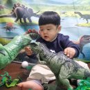 공룡나라어린이집 이미지