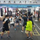 부개 팀 타이거 복싱 짐 이미지