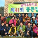 김삿갓면-41 이미지