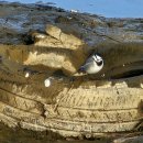 하천 실시간 감시 이미지