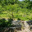 네모농장 이미지