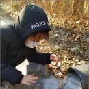 스스와 이미지