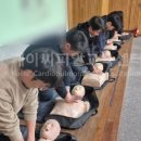 [교직원직무연수]양주/화성/고양/남양주 초등학교 고등학교 교직원 직무연수 심폐소생술 교육 후기