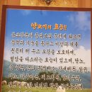 야당고을양고기통바베큐 이미지