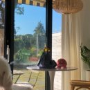 누코지스테이 이미지