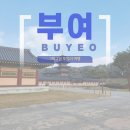 차문화(차와 문화) | [부여] 부여 1박2일 여행코스 2일 차 | 백제문화단지·사비로 열차 완벽 후기