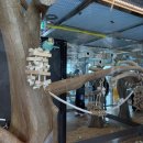 광안숲 | [공지] [광안 애니멀숲]광안리 신상 동물원/ 아이와 함께 가볼 만한 곳 솔직 후기