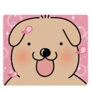 민둥산 850 전망대 이미지