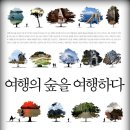 여행의 숲을 여행하다 이미지