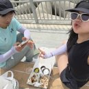 삼척문어김밥