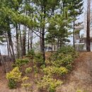 울진 제일약국 이미지