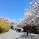 마니산 농원 이미지