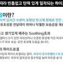 세븐솔