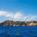 블루비치 이미지