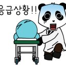 슈어스성형외과의원