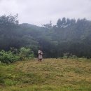 벌초대행업체상록수 | 영천 벌초대행 : 전문 업체 이용 후기