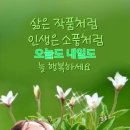 전부다 이미지