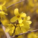 당고개길 이미지