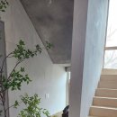 조천 | 제주 조천독채펜션 단심스테이 조천 내돈내산 장단점 후기