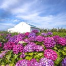 안성리-6 이미지