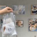 에스에프베이글