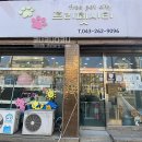 프리펫시티 티스토리