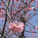 교동세천 이미지