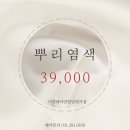 젤라헤어 - 세종특별자치시 | 젤라헤어