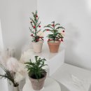 12/11 크리스마스 생화 트리 이미지