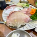 복만네 | 안양횟집 복만활어&amp;스시 대방어 솔직후기