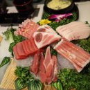 참치夜참치야