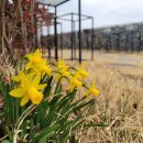 어린이 도예교실(오후) 이미지