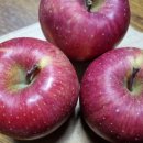 산북로(북후면) 이미지