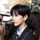 박 헤어컷
