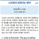 smell a rat 이미지