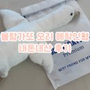 스타비즈파트너스 | 블랑가또 오리 애착인형 내돈내산 후기 🦆 6개월 지유 첫 친구