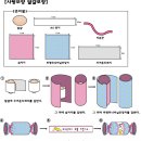 부활절 달걀포장 & 바구니 만들기 모음 이미지