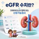 신장 수치가 걱정될 때 확인해야 할 eGFR·Cr·BUN 이미지