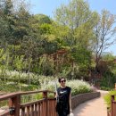 아침을 여는 발레 스트레칭 이미지