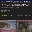 일본 후쿠시마 해산물보다 최소100배 더 위험한 중국 해산물 이미지