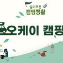 상상카라이프 이미지